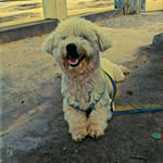 ted - @ted_rider19 - Instagram