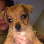 Teddy Ridings - @tedstaaa - Instagram