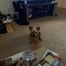 Ted Rife - Facebook