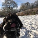 Ted_Riggs - @ted_riggs - Instagram