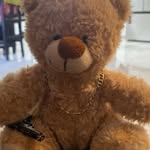 Ted - @ted_ring - Instagram