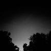 teddy._.ripley_ - @teddy._.ripley_ - TikTok