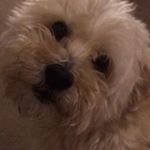 @teddy_ritter - Instagram
