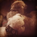 Morgan & Ted Rivera-Acosta - @morganandted - Instagram