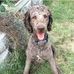 Teddy Roark - Facebook