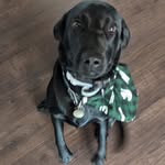 Ted Robison - @tedrobison - Instagram
