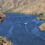 Ted Lincoln Rockwell - @arizonaecologists - Instagram