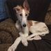 Ted Rockwell - Facebook