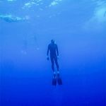 Ted Roe - @ted_roe - Instagram