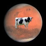 ted roland - @fuckonmars - Instagram