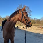 Julie_rolfsted - @julierolfsted - Instagram