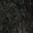 teddierolf - @teddierolf - TikTok