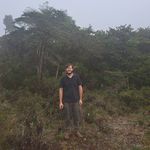Pablo - @te_de_romero - Instagram