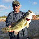 Ted Romero - @ted_romero - Instagram
