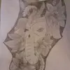 Ted Rose - @tedrose4 - TikTok