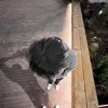 teddrose_ - @teddrose_ - TikTok