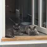 TED&ROSE - @__tedandrose__ - Instagram