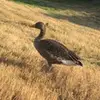 ted_rousell - @ted_rousell - TikTok