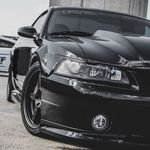Termi Roush - @roushinated03 - Instagram