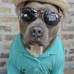 Ted Rowley - @tedgrowley - Instagram