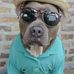 Ted Rowley - Facebook