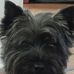 Teddy Rubinstein - Facebook