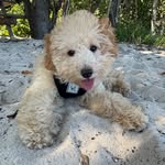 @teddyrobles_ - Instagram