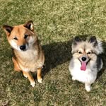 ＲＵＤＹ ＋ ＴＥＤ - @rudyandted - Instagram