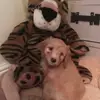 Rudy and Ted - @rudyted - TikTok