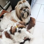 ❤Teddy❤Rudy❤️ - @teddy__rudy - Instagram