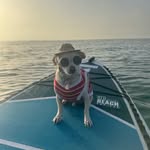 Tedy Mini Rudy - @tedy_mini_rudy - Instagram