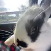 ruejudyand.ted - @ruejudyand.ted - TikTok