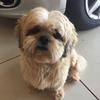 Ted.Russo - @ted376543 - TikTok