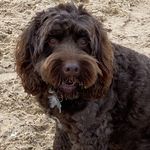 Ted Rutherford - @rutherford.ted - Instagram