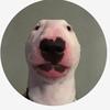 tedruth - @puppypoopguys - TikTok