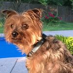 Ted Rutkowski - @teddyboomboom1111 - Instagram