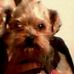 Teddy Rutkowski - Facebook