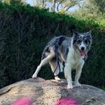 TeddiAnn Sadler - @teddiannsadler - Instagram
