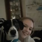 Teddy Sadler - @walkies.with.teddy - Instagram