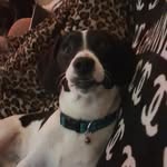 ♡Teddy Sadler♡ - @t3ddys_pup_journ3y - Instagram