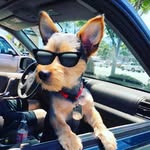 Theodore Salas Aka "Ted" - @pirulins16 - Instagram
