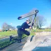 ted - @ted_salmon_ - TikTok