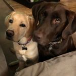 ted & sam - @teddyandsammynorb - Instagram