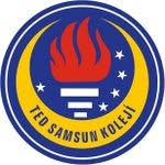 @tedsamsun_ - Instagram