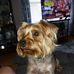 Ted Sampson - Facebook