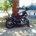 Ted Sampson Jr. - Facebook