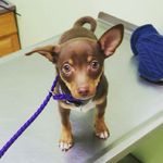 @tedwardsampsondurbin - Instagram