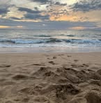 Ted Samuelson - Facebook