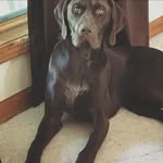 Ted Sanderson - @tedsanderson - Instagram