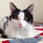 Ted Sanderson - @sanderson.ted - Instagram